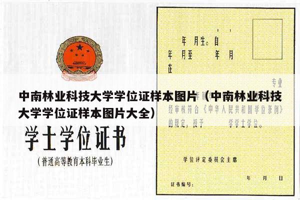 中南林业科技大学学位证样本图片（中南林业科技大学学位证样本图片大全）