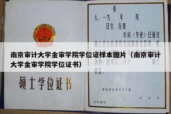 南京审计大学金审学院学位证样本图片（南京审计大学金审学院学位证书）