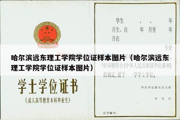 哈尔滨远东理工学院学位证样本图片（哈尔滨远东理工学院学位证样本图片）