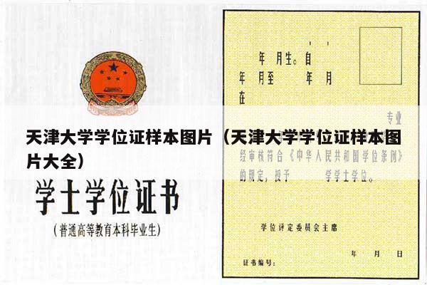 天津大学学位证样本图片（天津大学学位证样本图片大全）