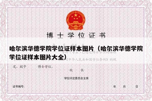 哈尔滨华德学院学位证样本图片（哈尔滨华德学院学位证样本图片大全）
