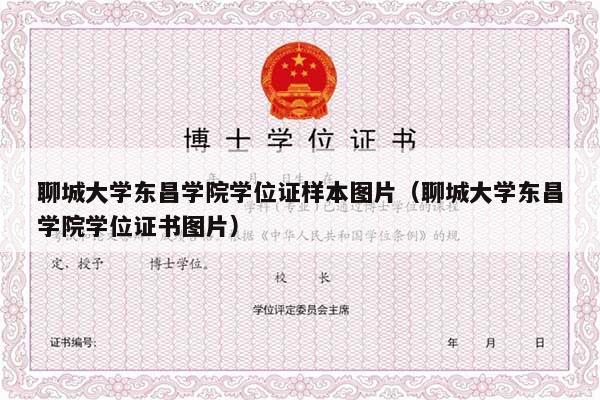 聊城大学东昌学院学位证样本图片（聊城大学东昌学院学位证书图片）