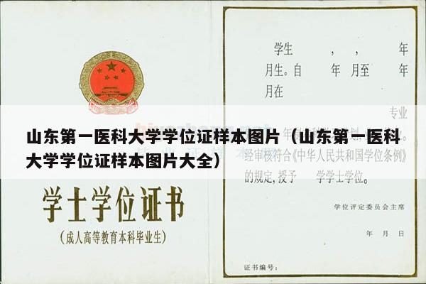 山东第一医科大学学位证样本图片（山东第一医科大学学位证样本图片大全）