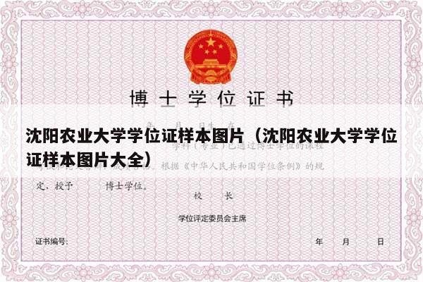 沈阳农业大学学位证样本图片（沈阳农业大学学位证样本图片大全）