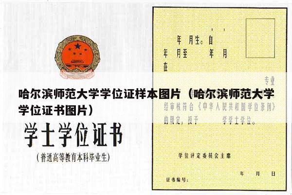哈尔滨师范大学学位证样本图片（哈尔滨师范大学学位证书图片）