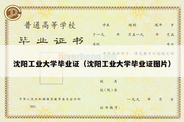 沈阳工业大学毕业证（沈阳工业大学毕业证图片）