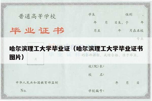 哈尔滨理工大学毕业证（哈尔滨理工大学毕业证书图片）