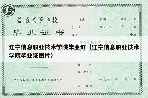 辽宁信息职业技术学院毕业证（辽宁信息职业技术学院毕业证图片）