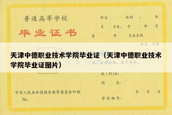 天津中德职业技术学院毕业证（天津中德职业技术学院毕业证图片）