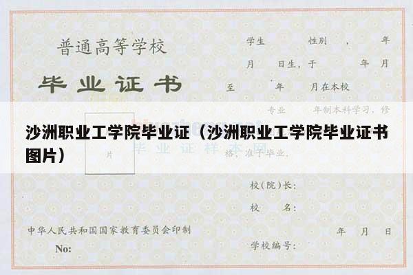 沙洲职业工学院毕业证（沙洲职业工学院毕业证书图片）