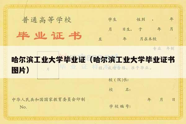 哈尔滨工业大学毕业证（哈尔滨工业大学毕业证书图片）