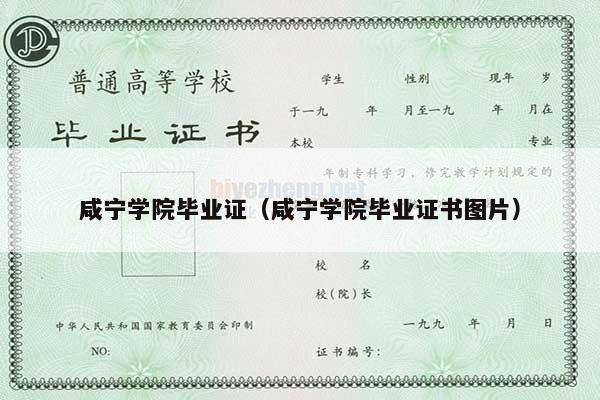 咸宁学院毕业证（咸宁学院毕业证书图片）